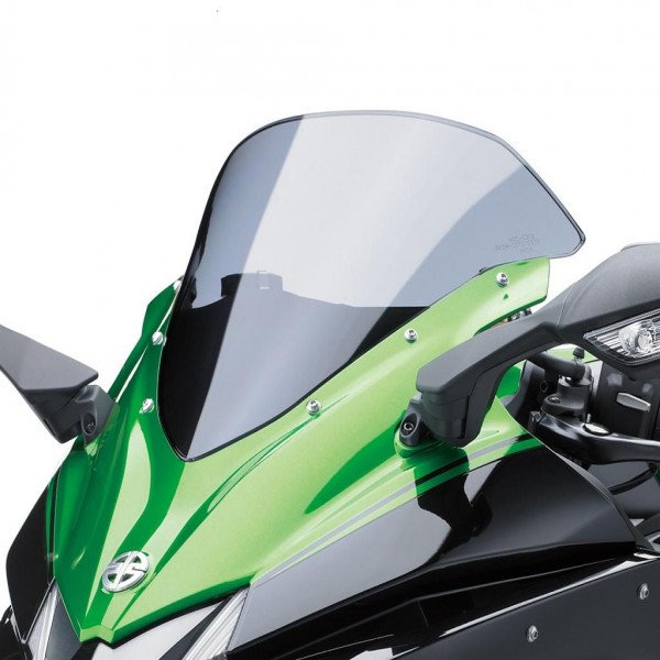 Kawasaki Compact smoke sport windhield
